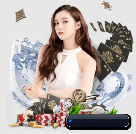 快速发展 - 业务规模迅速扩张,合作伙伴遍布全球,用户数量突破500万大关。